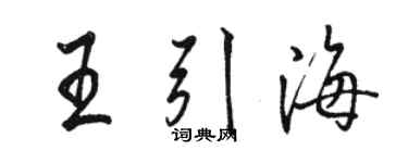 駱恆光王引海行書個性簽名怎么寫