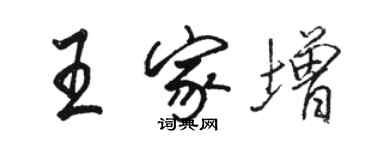 駱恆光王家增行書個性簽名怎么寫