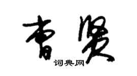 朱錫榮曹賢草書個性簽名怎么寫