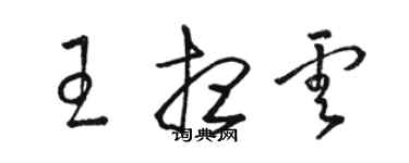 駱恆光王想雲草書個性簽名怎么寫