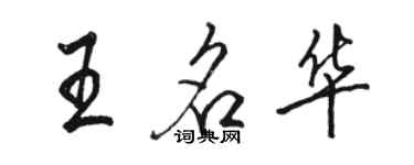 駱恆光王名華行書個性簽名怎么寫