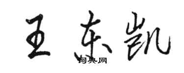 駱恆光王東凱行書個性簽名怎么寫