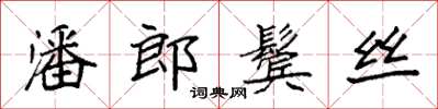 袁強潘郎鬢絲楷書怎么寫