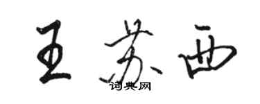 駱恆光王蘇西行書個性簽名怎么寫