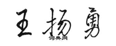 駱恆光王揚勇行書個性簽名怎么寫