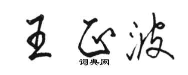 駱恆光王正波行書個性簽名怎么寫