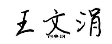 王正良王文涓行書個性簽名怎么寫