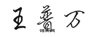 駱恆光王普萬行書個性簽名怎么寫