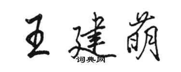 駱恆光王建萌行書個性簽名怎么寫