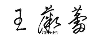 駱恆光王薇蕾草書個性簽名怎么寫
