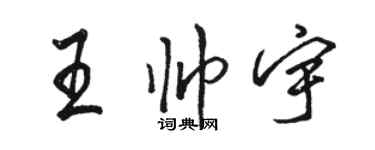 駱恆光王帥宇行書個性簽名怎么寫
