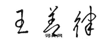 駱恆光王善律草書個性簽名怎么寫