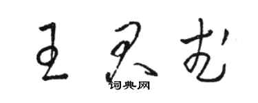 駱恆光王君武草書個性簽名怎么寫