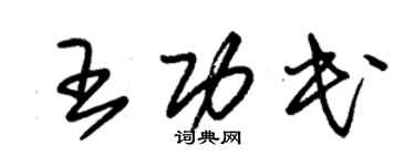 朱錫榮王功民草書個性簽名怎么寫