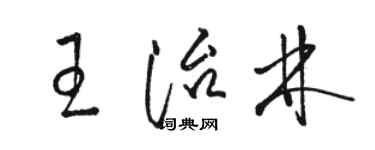 駱恆光王治林草書個性簽名怎么寫