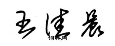朱錫榮王佳晨草書個性簽名怎么寫