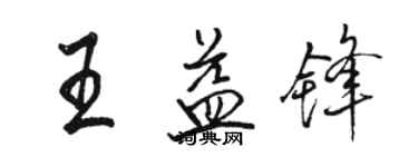 駱恆光王益鋒行書個性簽名怎么寫