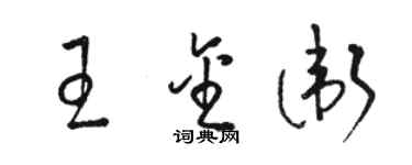 駱恆光王金衛草書個性簽名怎么寫