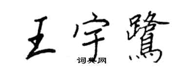 王正良王宇鷺行書個性簽名怎么寫