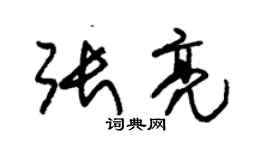 朱錫榮張亮草書個性簽名怎么寫