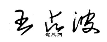 朱錫榮王占波草書個性簽名怎么寫