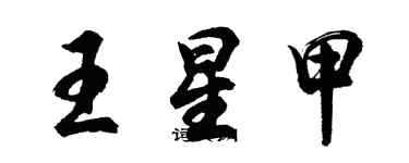 胡問遂王星甲行書個性簽名怎么寫