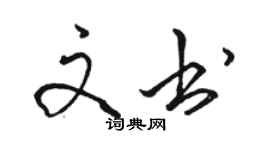 駱恆光文書行書個性簽名怎么寫