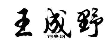 胡問遂王成野行書個性簽名怎么寫