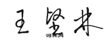 駱恆光王堅林草書個性簽名怎么寫