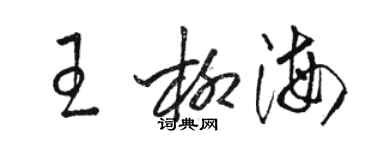 駱恆光王柳海草書個性簽名怎么寫