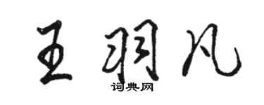 駱恆光王羽凡行書個性簽名怎么寫