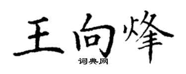 丁謙王向烽楷書個性簽名怎么寫