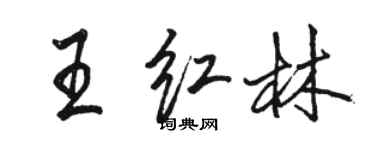 駱恆光王紅林行書個性簽名怎么寫