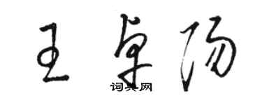 駱恆光王卓陽草書個性簽名怎么寫