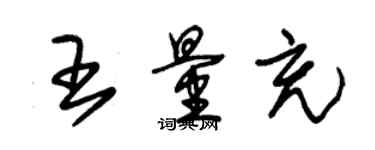 朱錫榮王量充草書個性簽名怎么寫