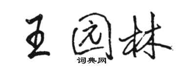 駱恆光王園林行書個性簽名怎么寫