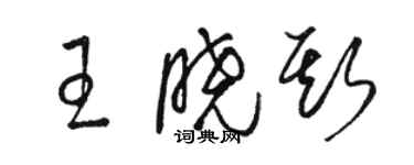 駱恆光王曉斯草書個性簽名怎么寫